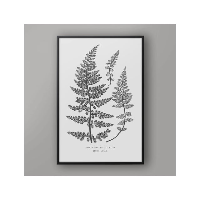 FERN ART: 1859 ENGLISH FERN #17 - Foundry