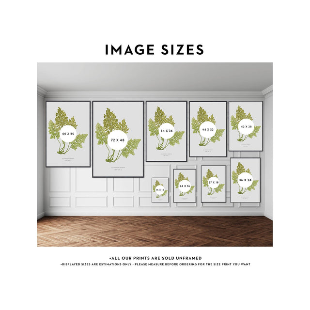 FERN ART: 1859 ENGLISH FERN #18 - Foundry