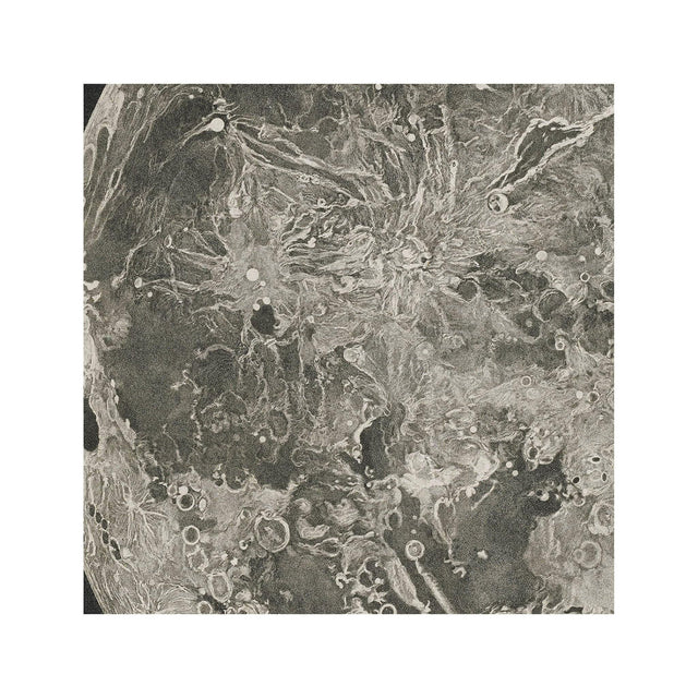 FULL MOON Illustration - Foundry