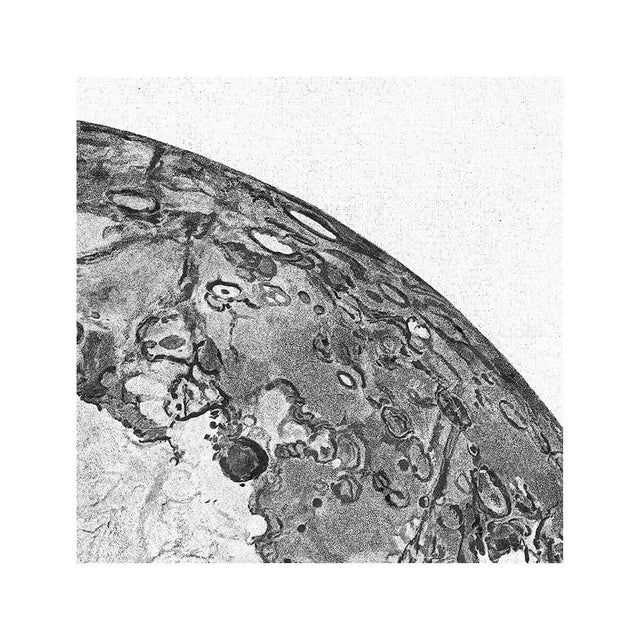 FULL MOON Illustration - Foundry