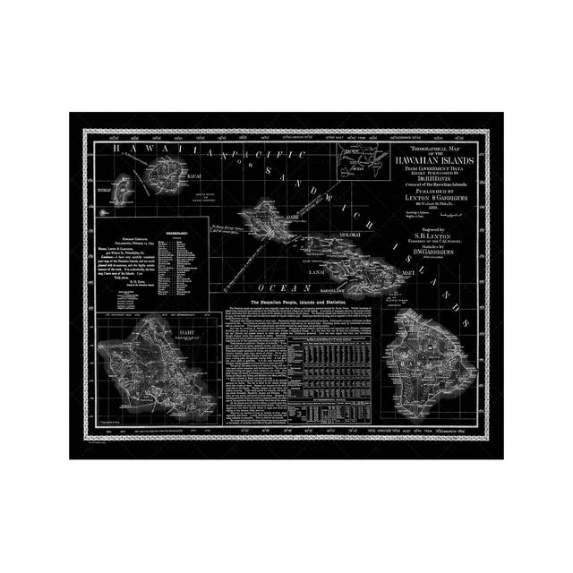 HAWAII Topographical Map - Foundry