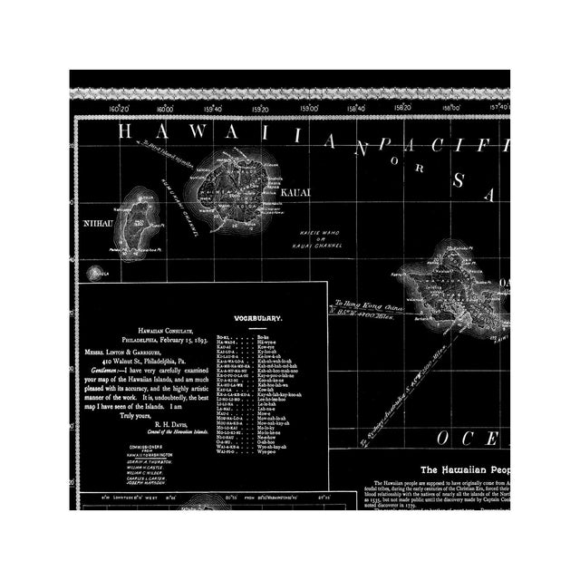HAWAII Topographical Map - Foundry