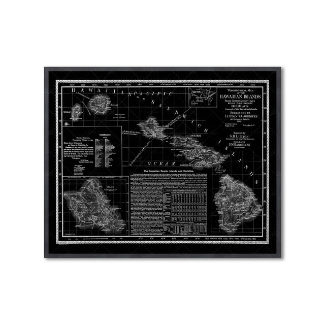 HAWAII Topographical Map - Foundry