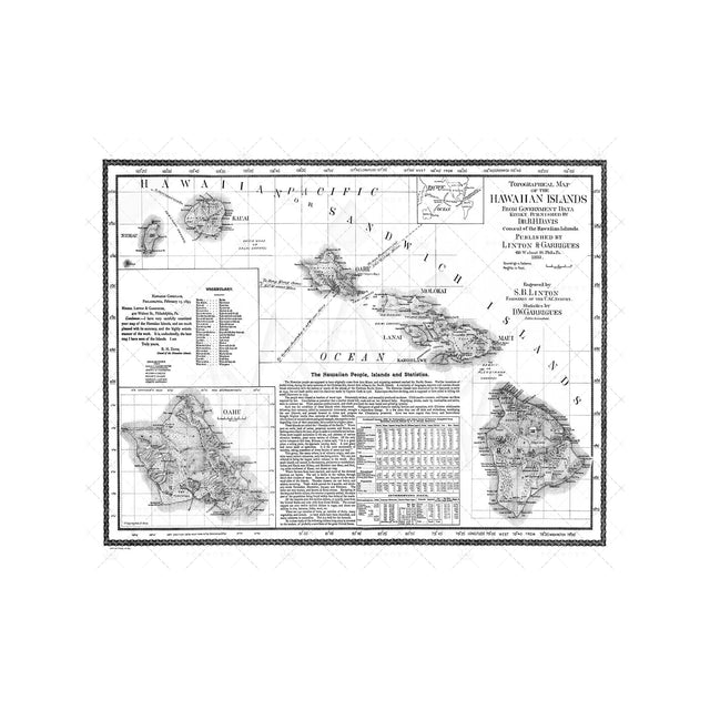 HAWAII Topographical Map - Foundry