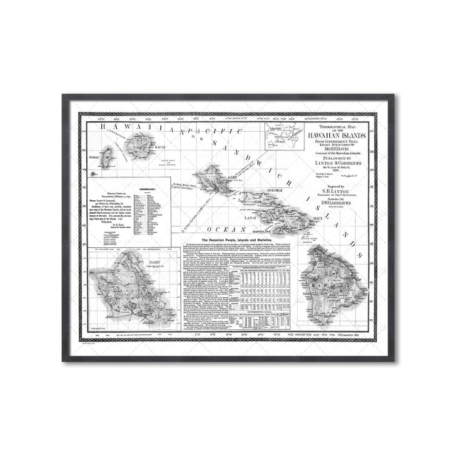 HAWAII Topographical Map - Foundry