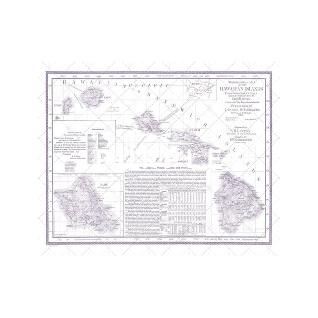 HAWAII Topographical Map - Foundry