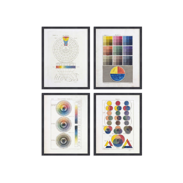 HAYTER'S COLOR THEORY Collection - Foundry