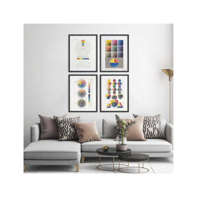 HAYTER'S COLOR THEORY Collection - Foundry