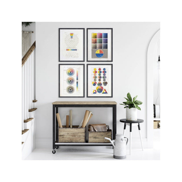 HAYTER'S COLOR THEORY Collection - Foundry