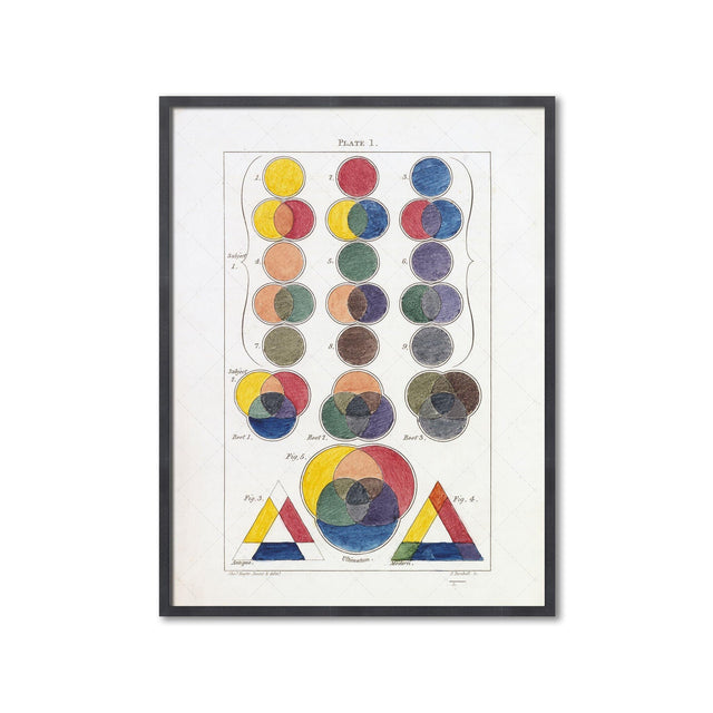 HAYTER'S COLOR THEORY - Plate 1 - Foundry