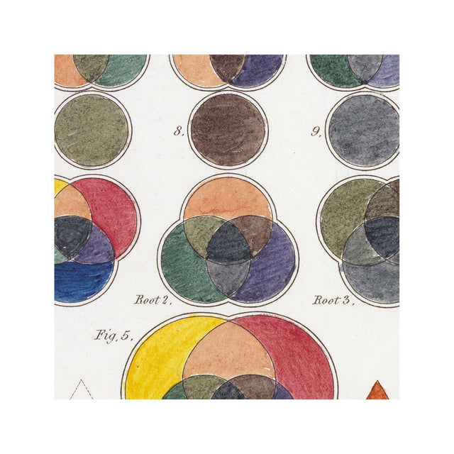HAYTER'S COLOR THEORY - Plate 1 - Foundry