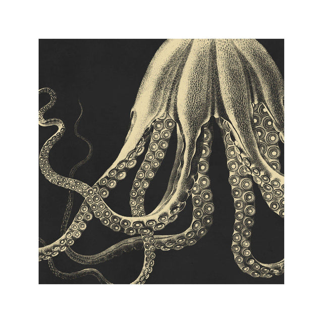 LORD BODNER Octopus - From the Depths - Foundry