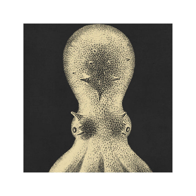 LORD BODNER Octopus - From the Depths - Foundry