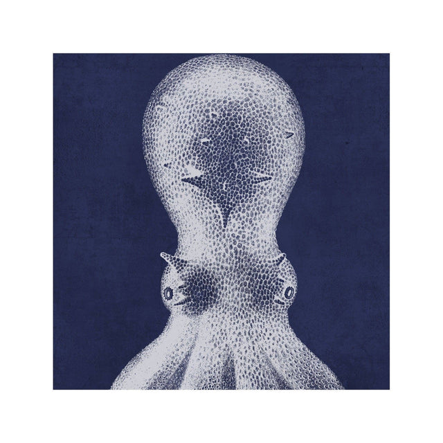 LORD BODNER Octopus - Ocean Floor - Foundry