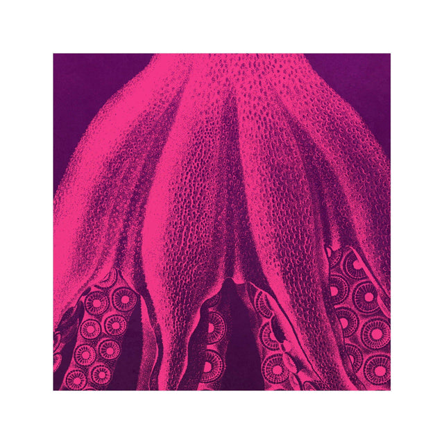 LORD BODNER Octopus - Sense of Flare - Foundry