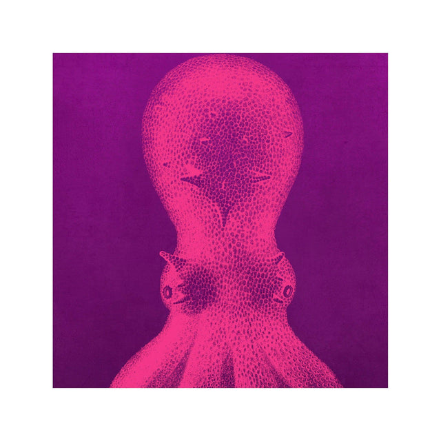 LORD BODNER Octopus - Sense of Flare - Foundry