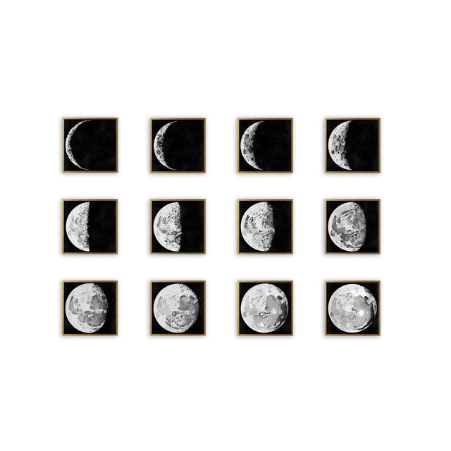 LUNAR PHASES ILLUSTRATION Collection - Foundry