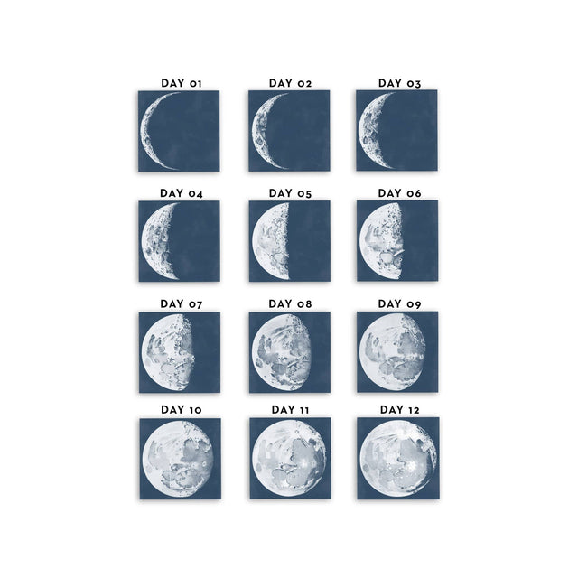 LUNAR PHASES ILLUSTRATION Collection - Foundry
