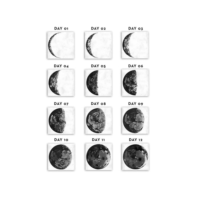 LUNAR PHASES ILLUSTRATION Collection - Foundry