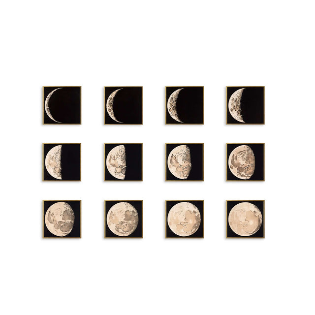 LUNAR PHASES ILLUSTRATION Collection - Foundry
