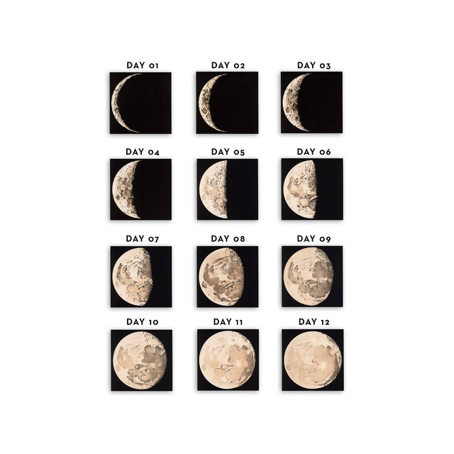 LUNAR PHASES ILLUSTRATION Collection - Foundry