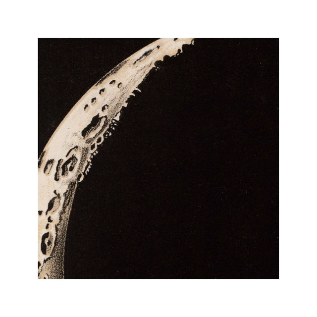 LUNAR PHASES ILLUSTRATION - DAY 01 - Foundry