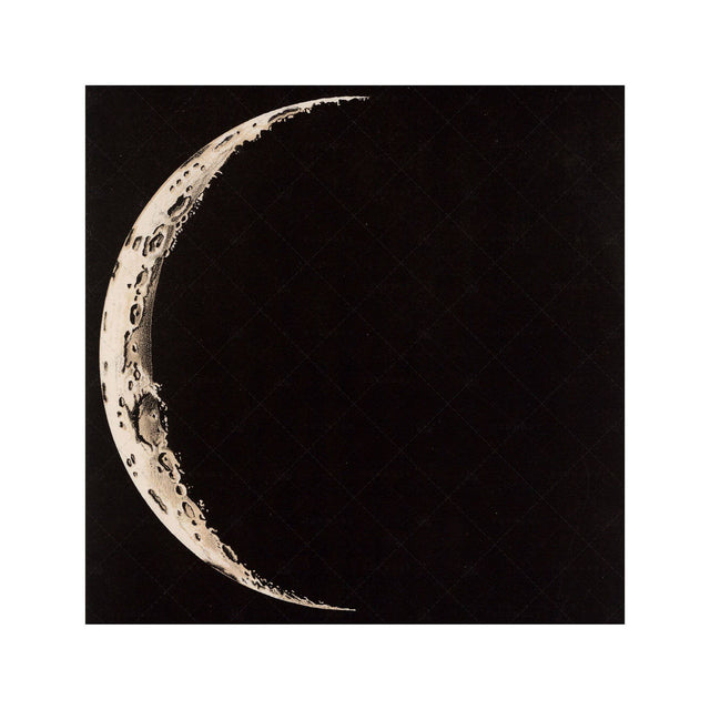 LUNAR PHASES ILLUSTRATION - DAY 01 - Foundry