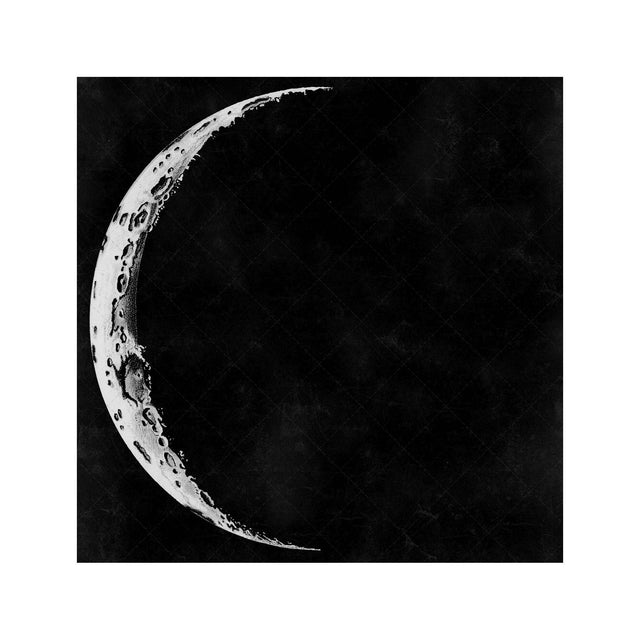 LUNAR PHASES ILLUSTRATION - DAY 01 - Foundry
