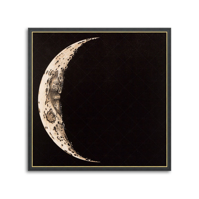 LUNAR PHASES ILLUSTRATION - DAY 02 - Foundry