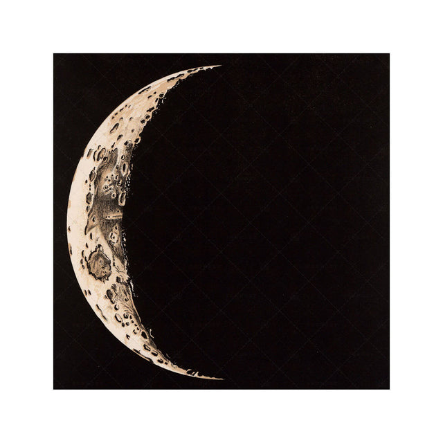 LUNAR PHASES ILLUSTRATION - DAY 02 - Foundry