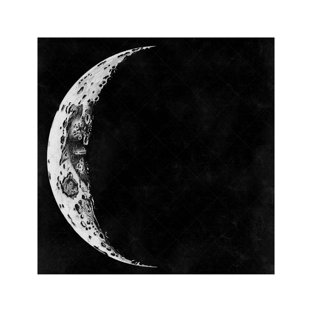 LUNAR PHASES ILLUSTRATION - DAY 02 - Foundry