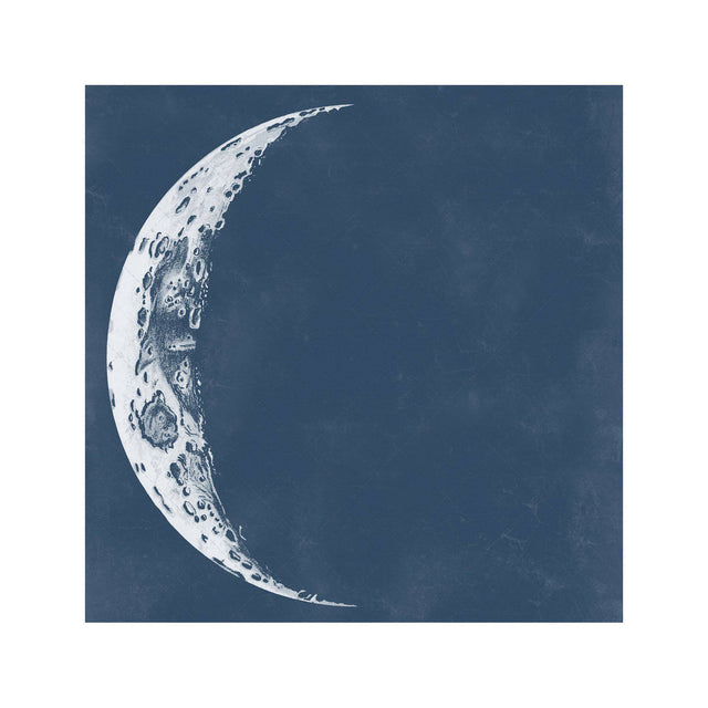 LUNAR PHASES ILLUSTRATION - DAY 02 - Foundry