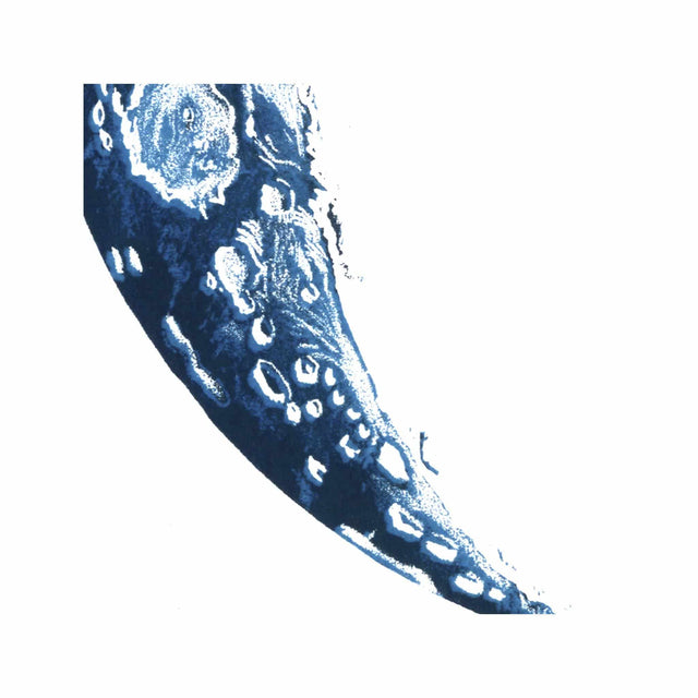 LUNAR PHASES ILLUSTRATION - DAY 02 - Foundry