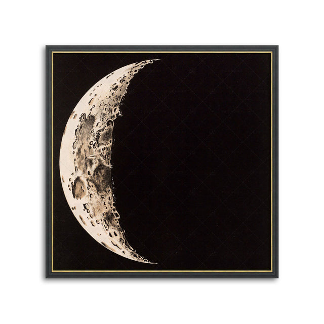 LUNAR PHASES ILLUSTRATION - DAY 03 - Foundry