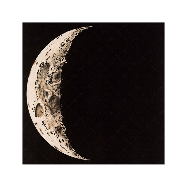 LUNAR PHASES ILLUSTRATION - DAY 03 - Foundry