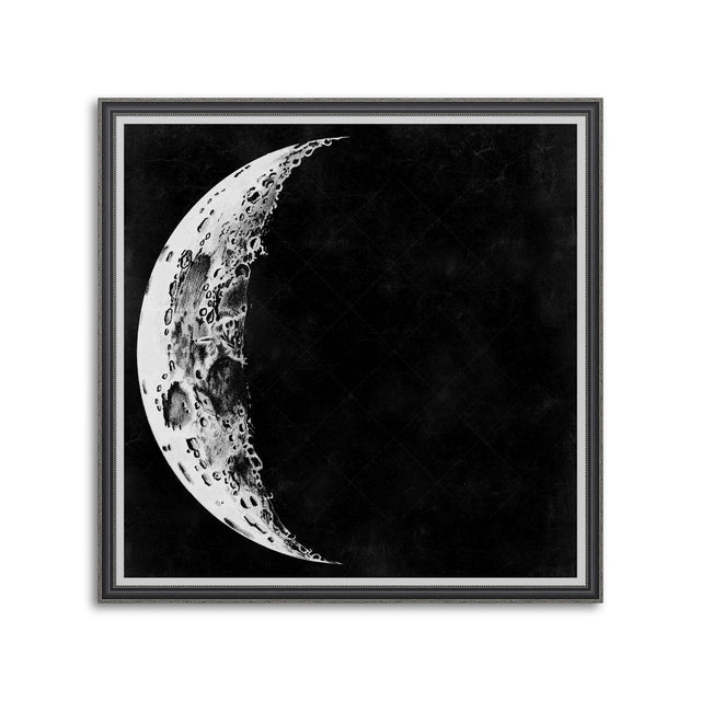 LUNAR PHASES ILLUSTRATION - DAY 03 - Foundry