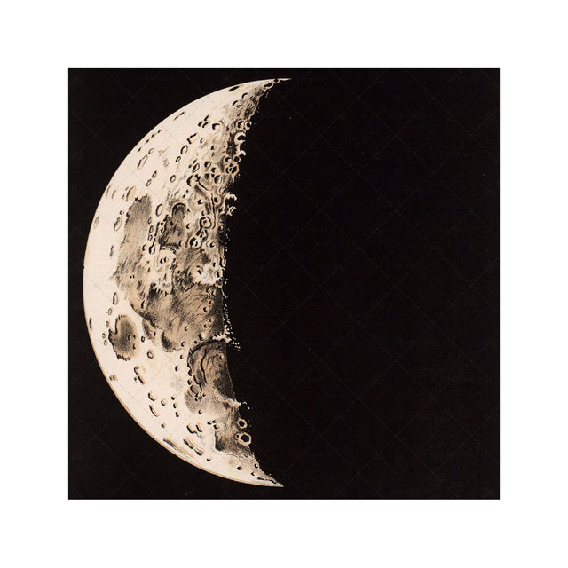 LUNAR PHASES ILLUSTRATION - DAY 04 - Foundry