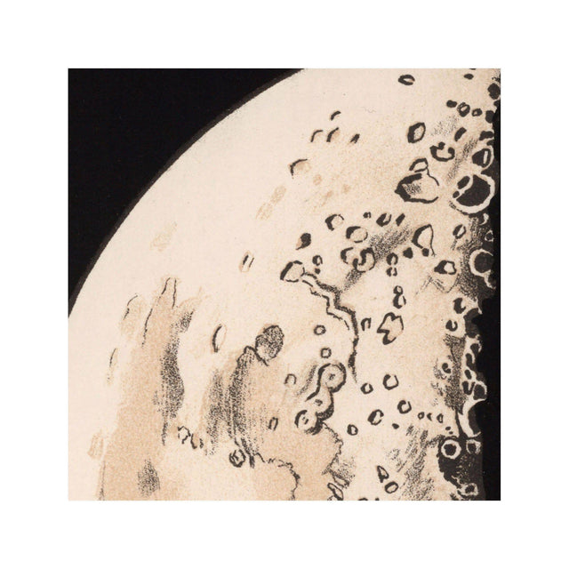 LUNAR PHASES ILLUSTRATION - DAY 05 - Foundry