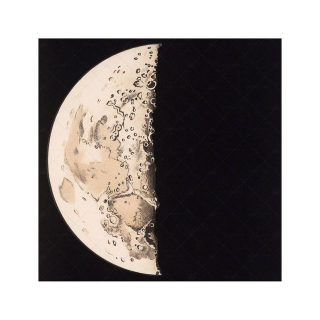 LUNAR PHASES ILLUSTRATION - DAY 05 - Foundry