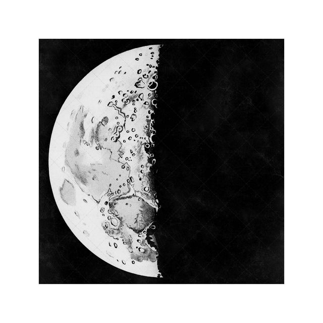 LUNAR PHASES ILLUSTRATION - DAY 05 - Foundry