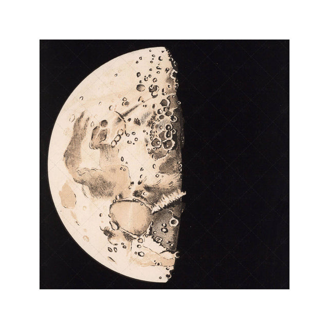 LUNAR PHASES ILLUSTRATION - DAY 06 - Foundry