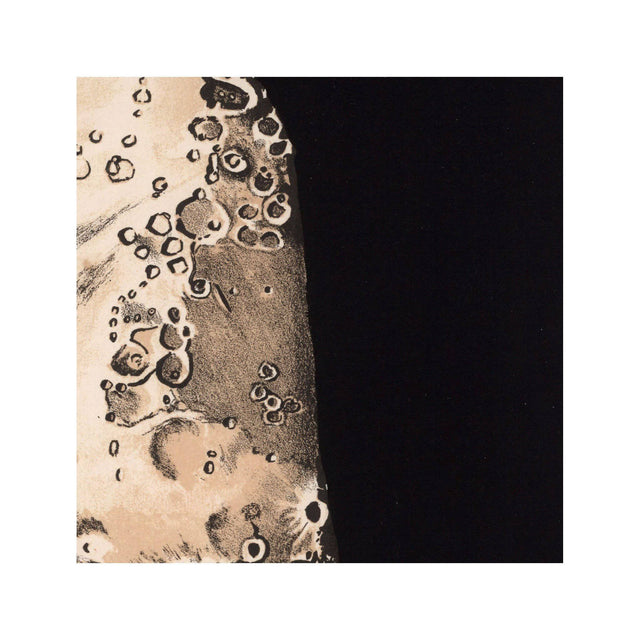 LUNAR PHASES ILLUSTRATION - DAY 07 - Foundry