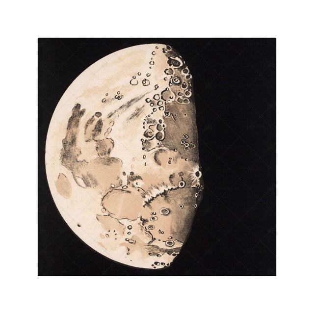 LUNAR PHASES ILLUSTRATION - DAY 07 - Foundry