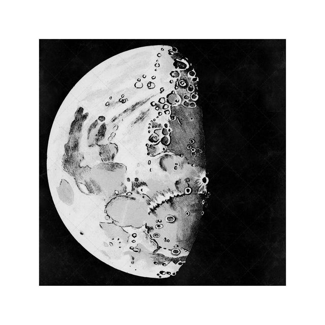 LUNAR PHASES ILLUSTRATION - DAY 07 - Foundry