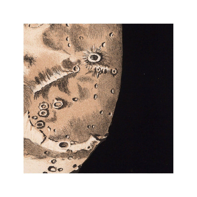 LUNAR PHASES ILLUSTRATION - DAY 08 - Foundry