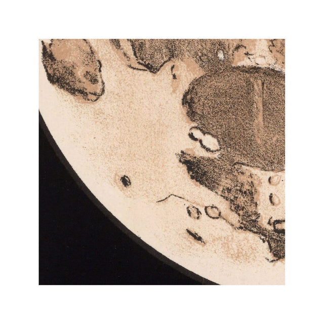 LUNAR PHASES ILLUSTRATION - DAY 08 - Foundry