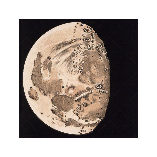 LUNAR PHASES ILLUSTRATION - DAY 08 - Foundry