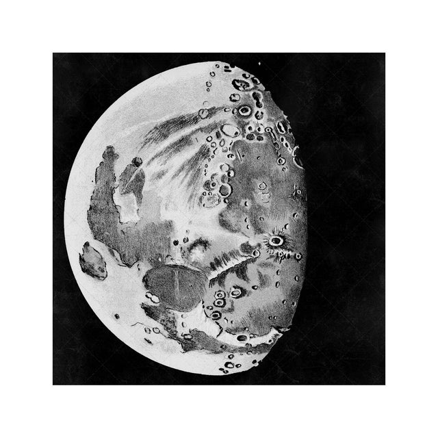LUNAR PHASES ILLUSTRATION - DAY 08 - Foundry