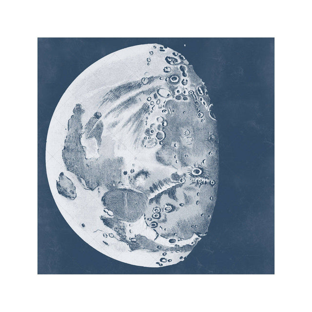 LUNAR PHASES ILLUSTRATION - DAY 08 - Foundry