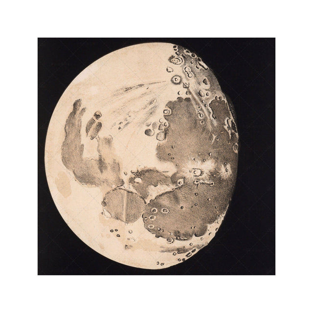 LUNAR PHASES ILLUSTRATION - DAY 09 - Foundry